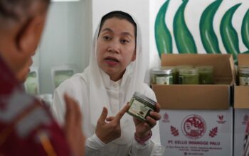 Pemkot Palu Harap Budidaya Kelor Merah Mampu Buka Lapangan Kerja