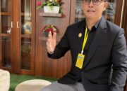 Praktisi Hukum: Meski Batal, Rencana Pengadaan Gym Rp447 Juta Pemprov Sulteng Tetap Skandal Anggaran