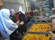Imelda Sidak di Pasar Inpres, Harga Bawang Merah hingga Tomat Meroket