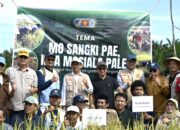 Kolaborasi KKN UNTAD dan UGM Sukses Pacu Produktivitas Pertanian di Donggala