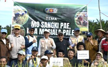 Kolaborasi KKN UNTAD dan UGM Sukses Pacu Produktivitas Pertanian di Donggala