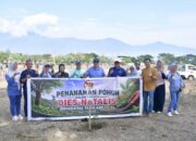 Rektor Untad Akan Wajibkan 9.000 Mahasiswa Baru Tanam Pohon Kelapa