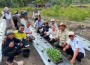 Pemkot Palu Tanam 2.000 Pohon Cabai