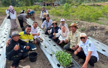 Pemkot Palu Tanam 2.000 Pohon Cabai