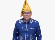Diseret JATAM ke PTUN Soal Industri Morowali, Pemprov Sulteng Siap Ladeni