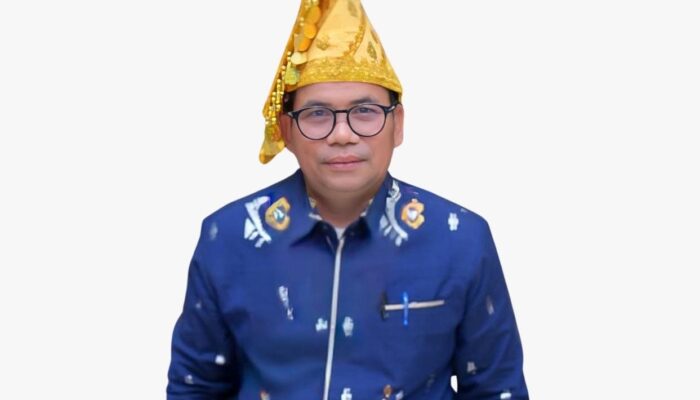 Diseret JATAM ke PTUN Soal Industri Morowali, Pemprov Sulteng Siap Ladeni