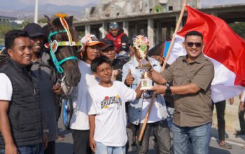 Dokar Race Event 2026: Tradisi dan Pesona Pesisir Palu