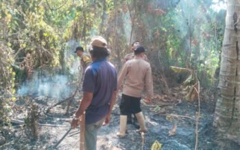 Polisi Selidiki Penyebab Kebakaran Kebun Kelapa di Parimo