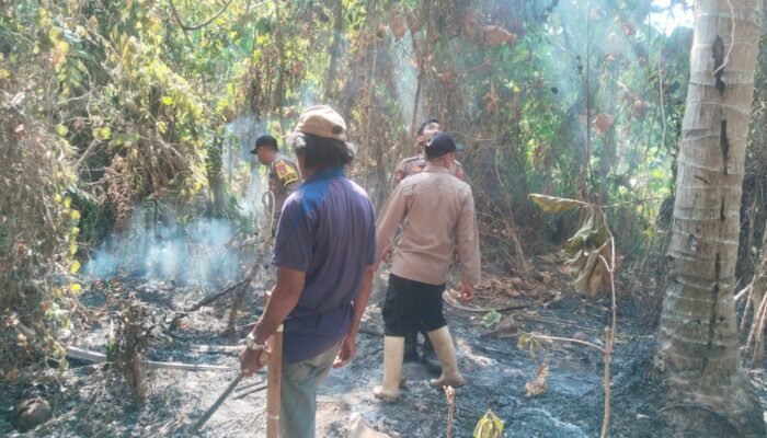 Polisi Selidiki Penyebab Kebakaran Kebun Kelapa di Parimo