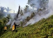 Dampelas, Tinombo hingga Ampana Masuk Zona Merah Karhutla di Sulteng