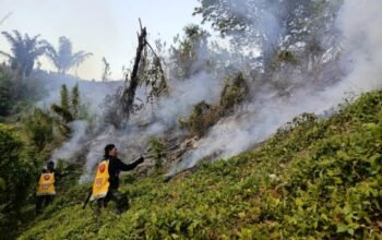 Dampelas, Tinombo hingga Ampana Masuk Zona Merah Karhutla di Sulteng