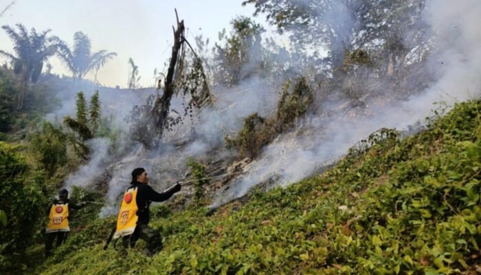 Dampelas, Tinombo hingga Ampana Masuk Zona Merah Karhutla di Sulteng