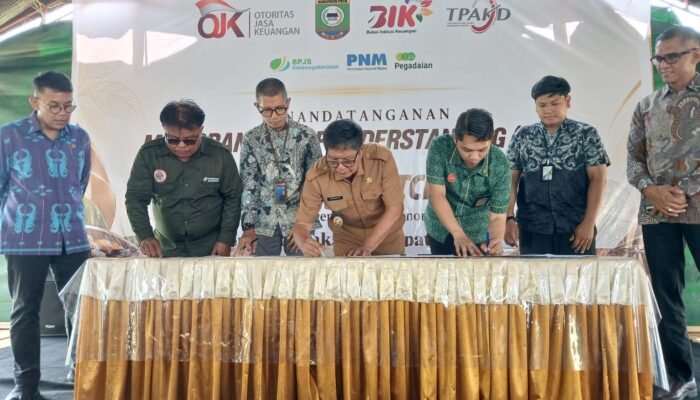 OJK Sulteng Dorong Penguatan Ekosistem Kakao Lewat MoU dan Business Matching