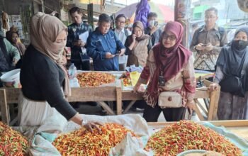 Harga Cabai Tembus Rp130 Ribu di Palu, Kemendagri – Pemkot Pantau Pasar Inpres